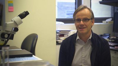 ALS Researcher