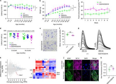 ALS research