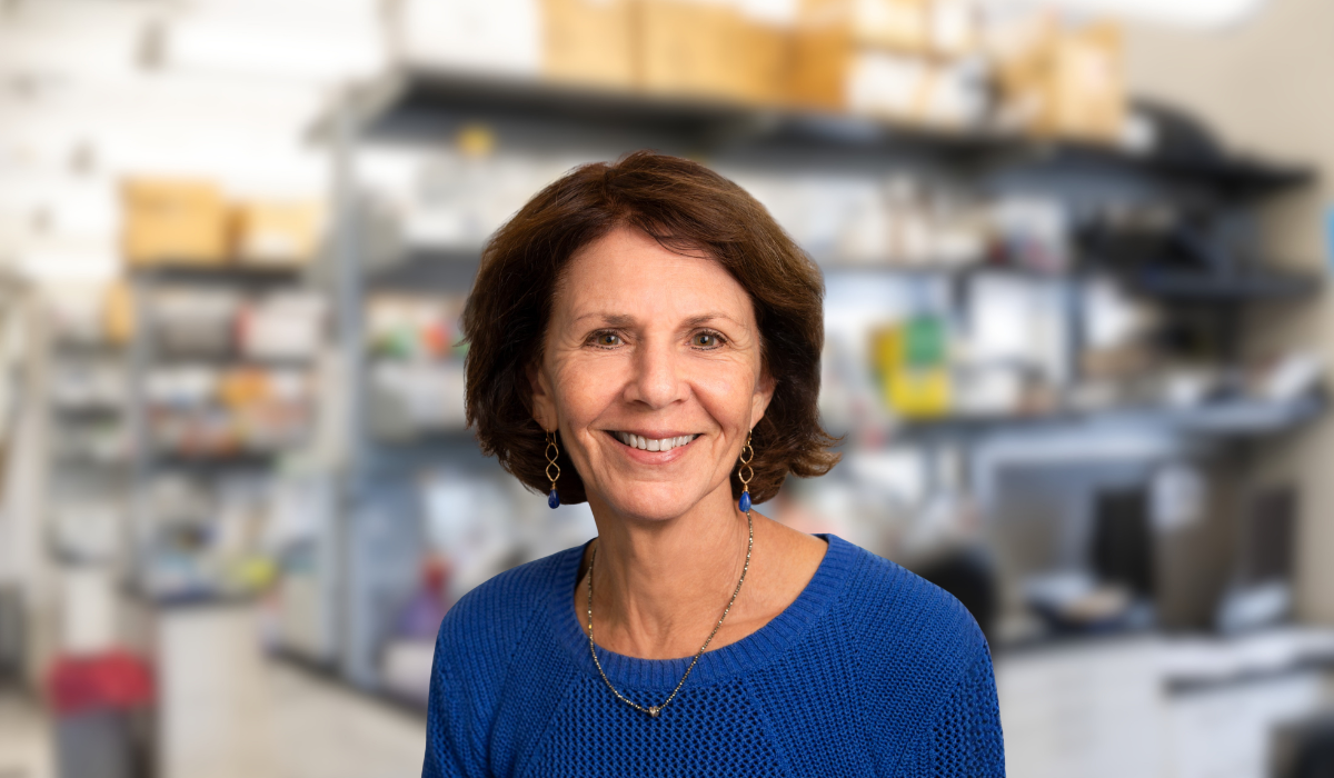 Susan Brenner Morton